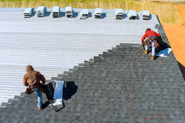 Best Roof Ventilation Installation  in Springdale, AR